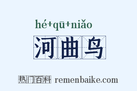 河曲鸟是什么意思的图片